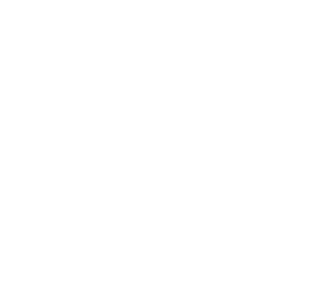 typhoon texas flag icon