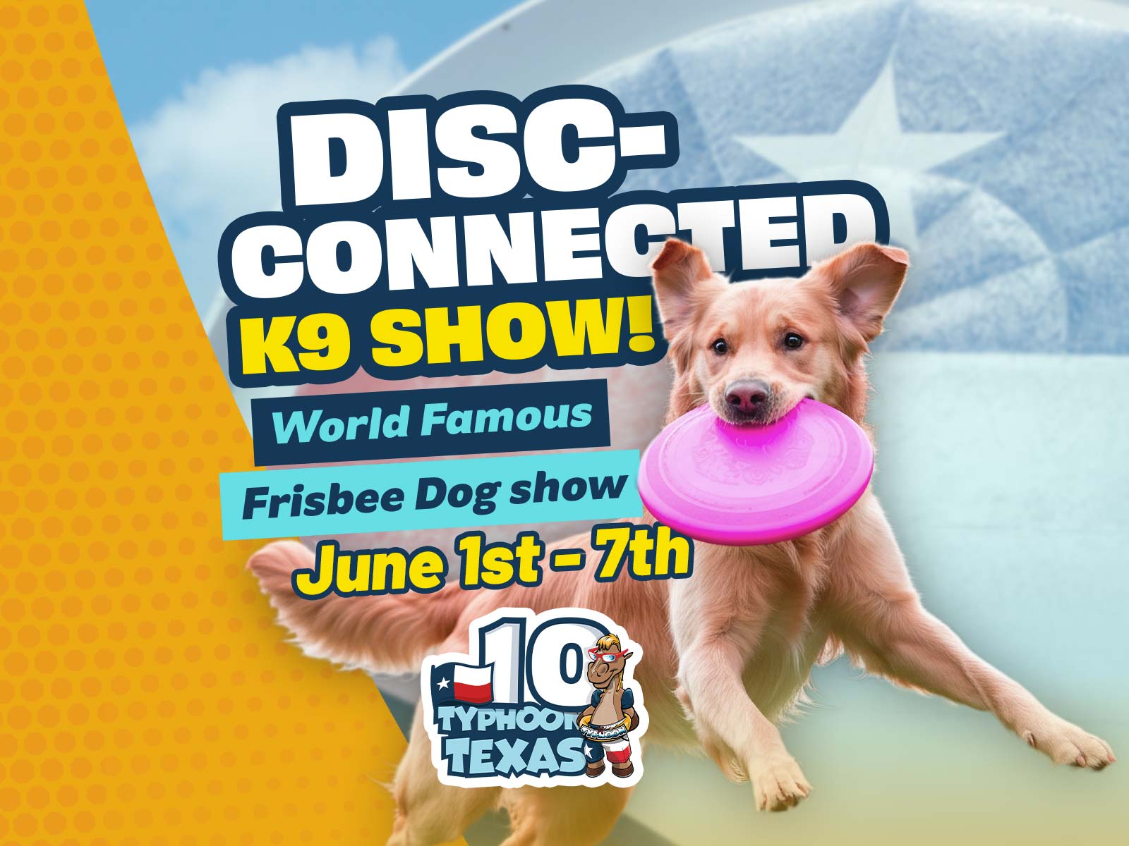 Disc-Connected K9 Show!