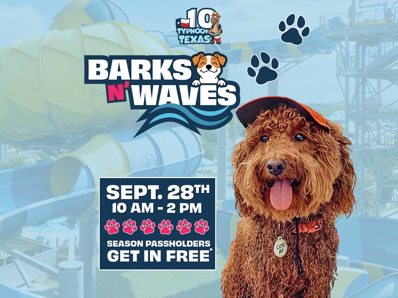 Barks N' Waves