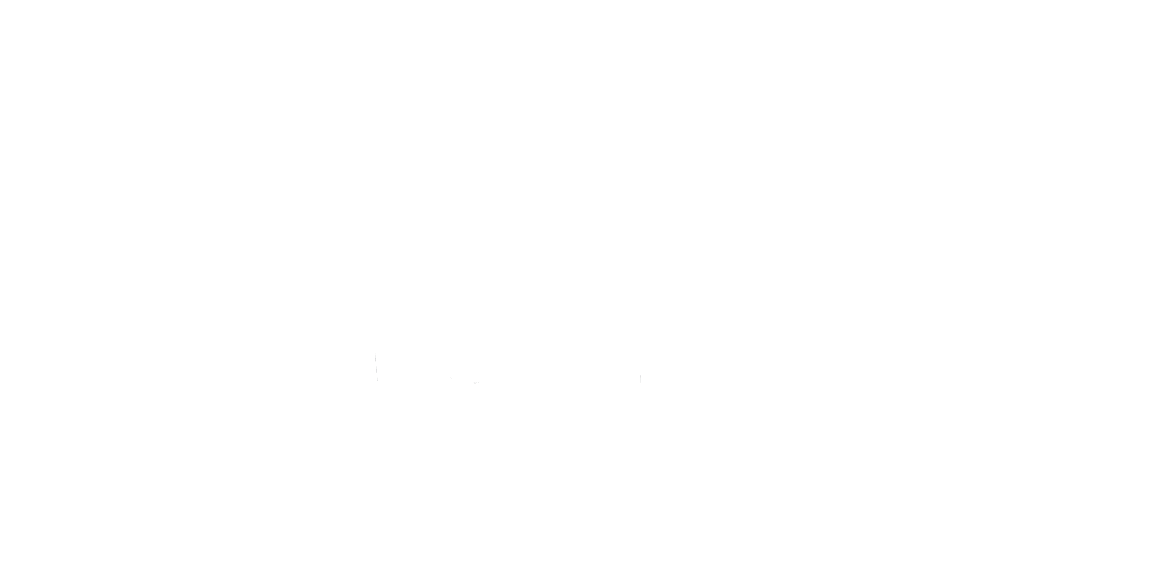 Typhoon Texas White Logo Horizontal