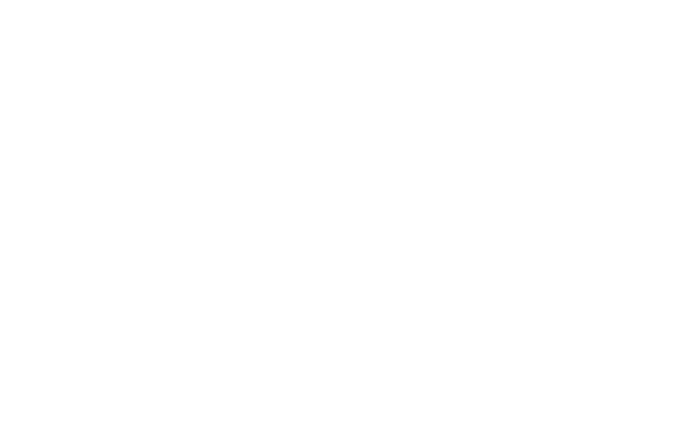 Typhoon Texas Vertical Logo White