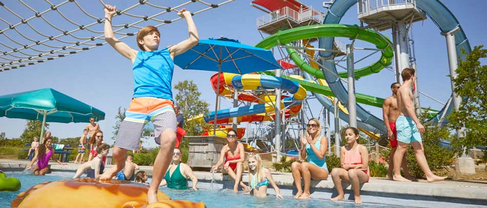 See Attractions