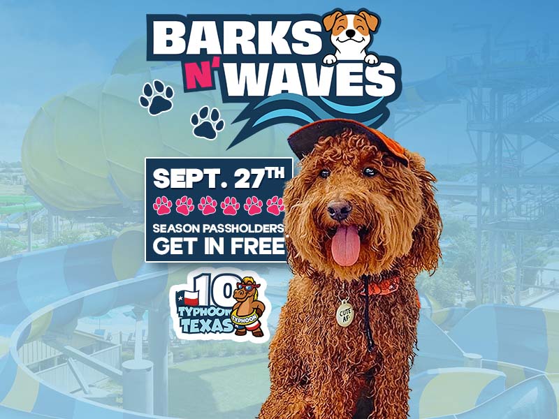 Barks N' Waves